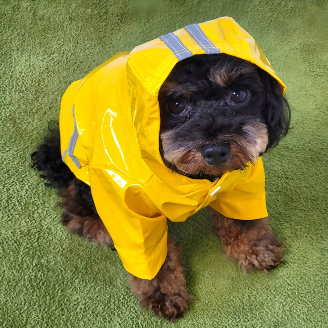강아지 방수 우비 레인코트 옷, 엘로우, 1개