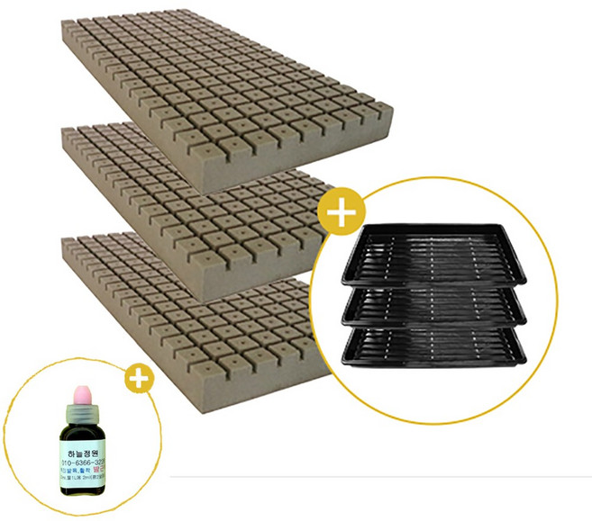 삽목용 오아시스162구 3장+전용트레이 3장+발근력20ml+이름표사은품, 1세트