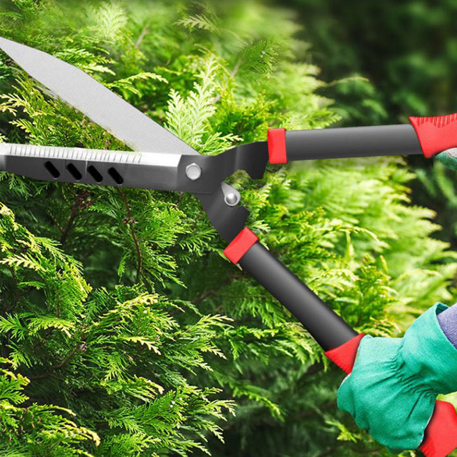 대형 전지가위 원예가위, 1개
