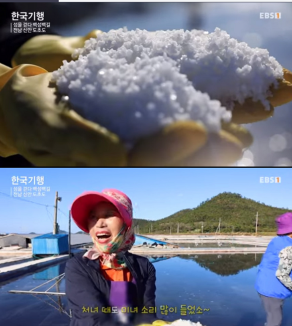 전남 신안 천일염 20kg (2025년산), 1개