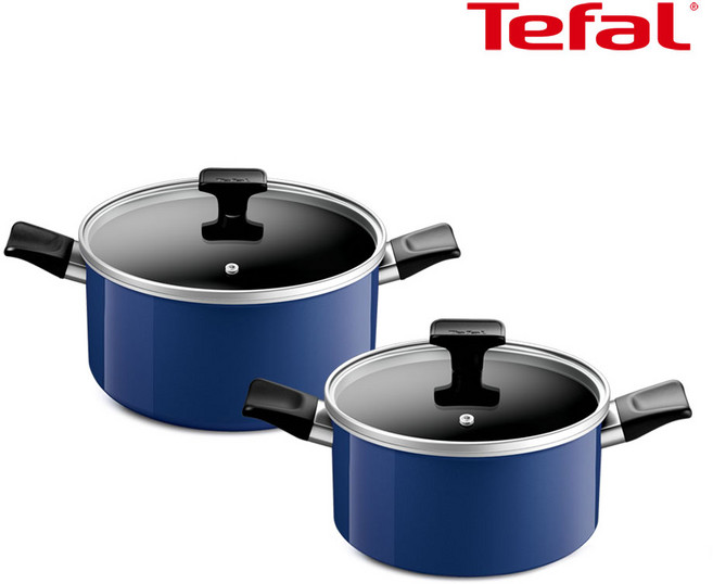 테팔 인덕션 세이버리 냄비 2종세트(양수20+24), 1개