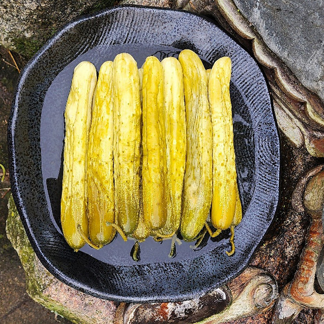 짜지 않아 부담 없는 밥반찬 저염오이지, 3kg, 1개