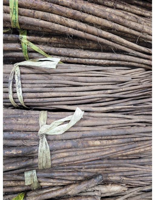 25년 햇 우엉 / 국내산 우엉, 1박스, 실속형 (차용-굵음) 2KG