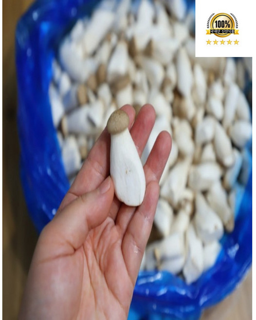 국내산 새송이버섯 속금 꼬마 새송이버섯, 1개, 꼬마새송이 4kg