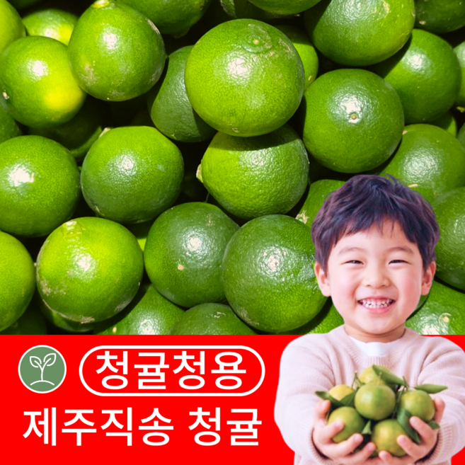 9위 - [제주직송] 2026년 청귤청용 청귤 풋귤, 1박스, 10kg