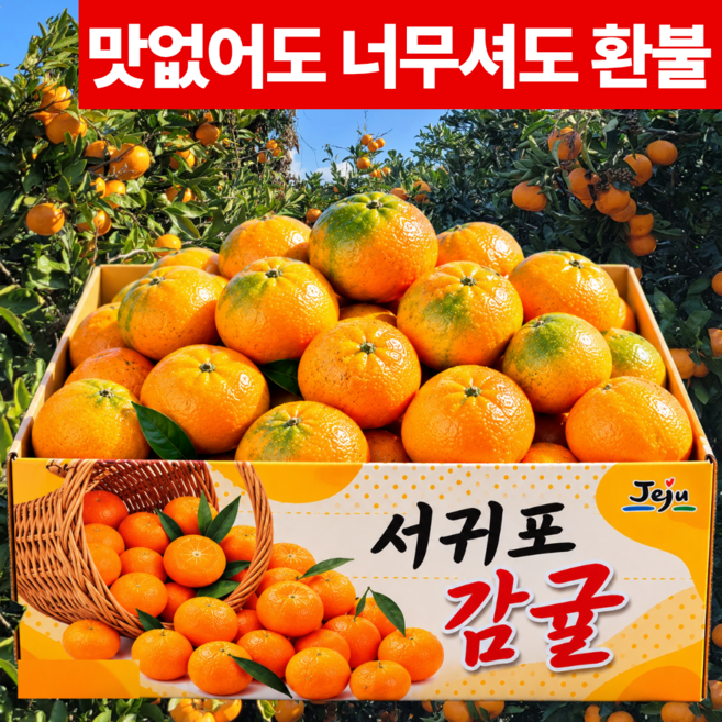 [하루100박스] 고당도 제주 감귤 산지직송 로얄과, 1박스, 5kg