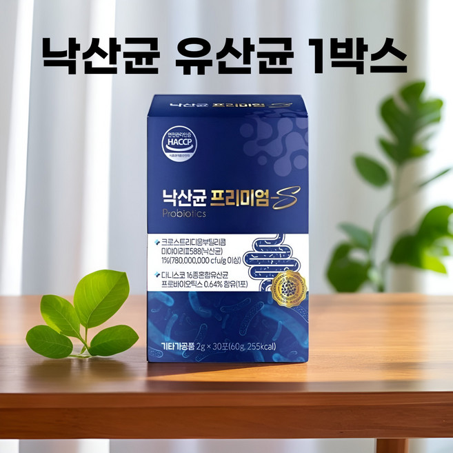 그릿고 강한 낙산균 유산균 사균체 마이크로바이옴, 1개, 30회분