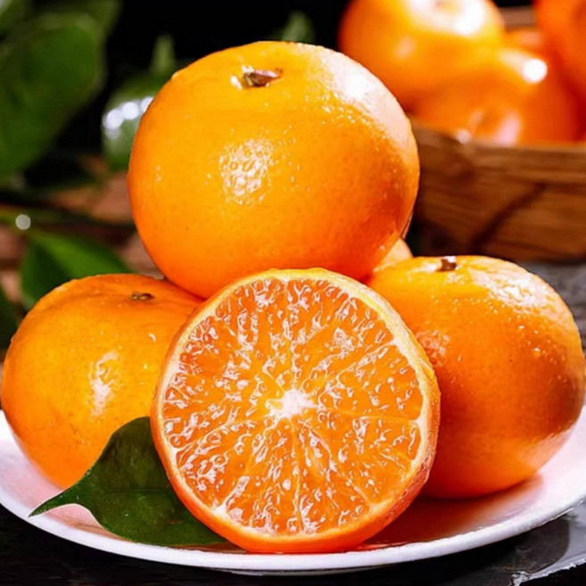 [오픈한정특가] 농장직송 고당도 제주 카라향, 1박스, 2kg