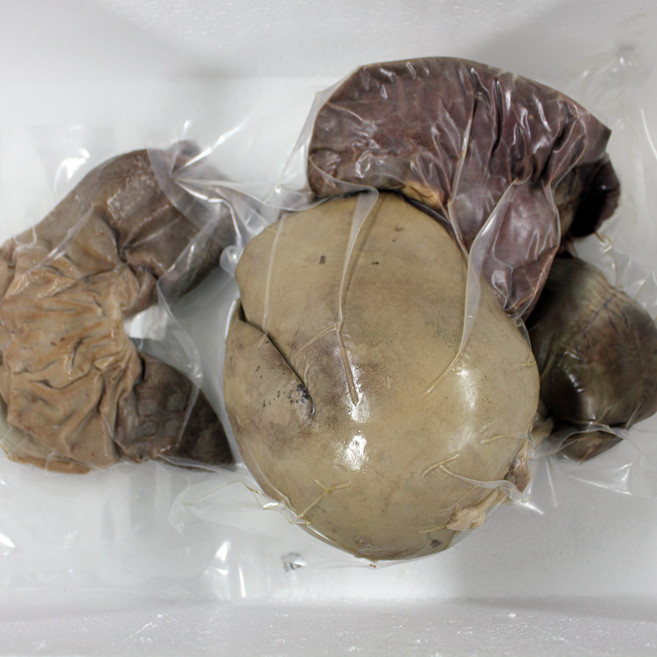 퀸미트 얼리지 않은 냉장 국내산 삶은 순대내장 돼지부속 모듬/ 간 울대 허파 염통 오소리감투, 간+허파+울대+염통+오소리감투 2.5kg(각1마리분), 2.5kg, 1개