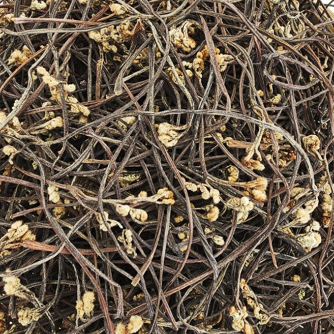 국내산 남해 해풍 맞고 자란 남해 고사리 300g x 2팩, 단품