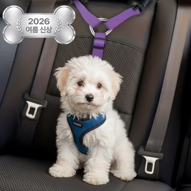 펫블리스 강아지 차량용 길이조절 안전벨트 헤드레스트 고정 Y형 리드줄, 1개, 퍼플