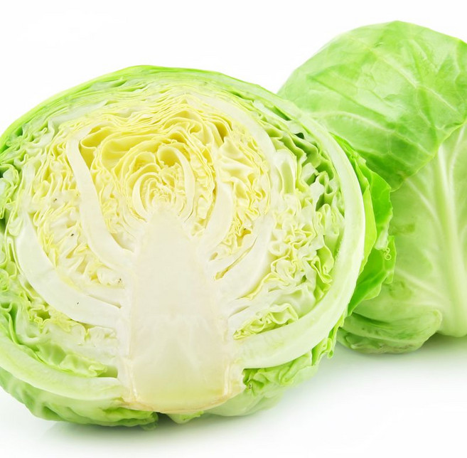 [당일출고] 국내산 제주 강원 양배추 아삭하고 달콤한 양배추, 1.5kg, 3개