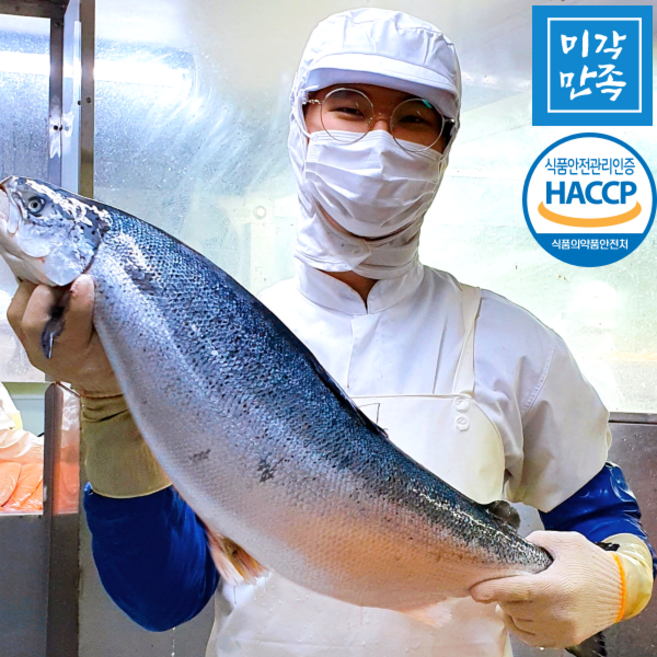 [미각만족] HACCP 얼리지않은 노르웨이 생연어필렛, 생연어 필렛 반마리(라운드), 1개, 2kg