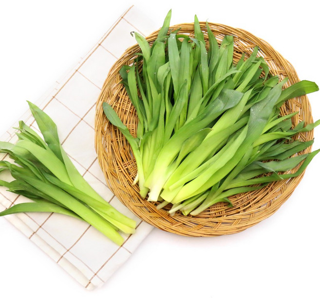 생원추리 국내산 원추리 봄나물 산나물 원추리나물, 500g, 1개