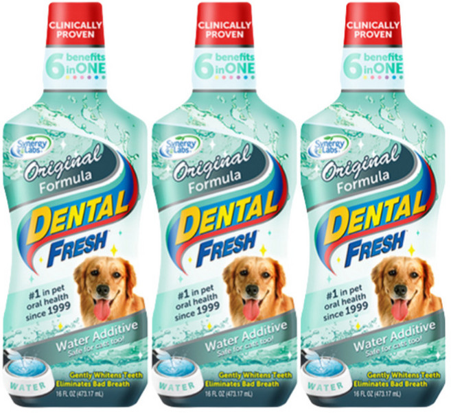 시너지랩 독 덴탈 후레쉬 503ml(물에 섞어주는 치약), 503ml, 3개, 오리지널