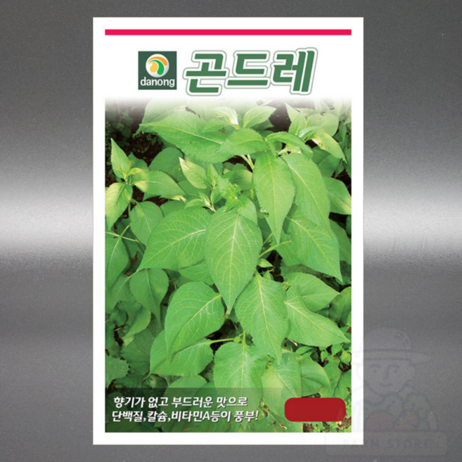 다농 곤드레 100립 고려엉겅퀴씨앗, 1개