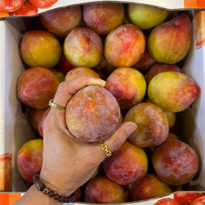 [타임세일] 대왕 초고당도 자두, 1박스, 1kg