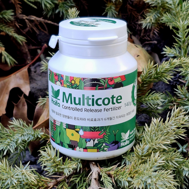 멀티코트 완효성비료 6개월지속 알비료 식물 블루베리 영양제 비료, 1개, 140g