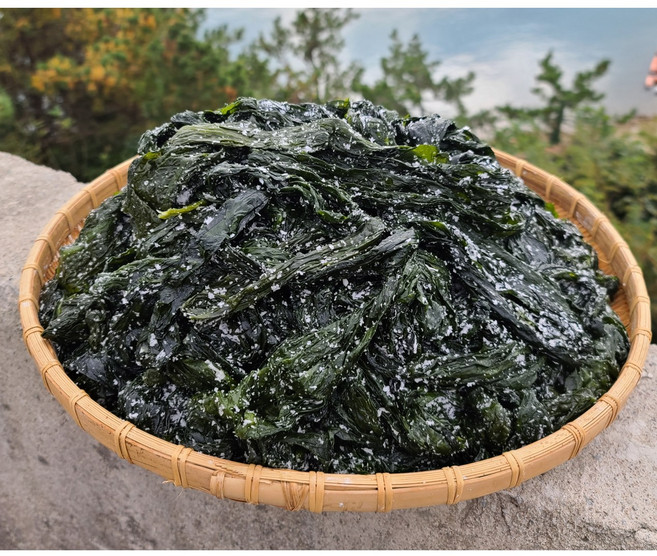 완도 염장 쇠미역(곰피) 5kg 햇미역 산지직송, 1개