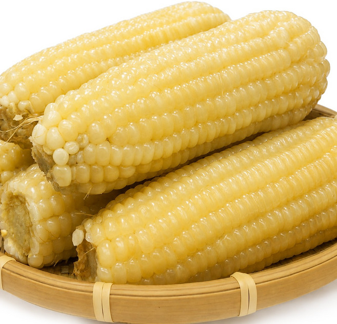 진생마트 쫀득쫀득 찰옥수수 벌크 백찰, 250g 내외, 20개