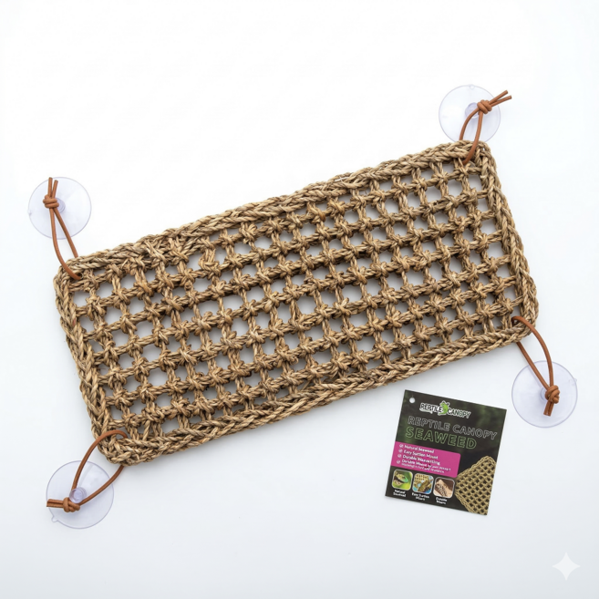 렙티주 사각해먹 대사이즈 파충류은신처, 1개, 혼합