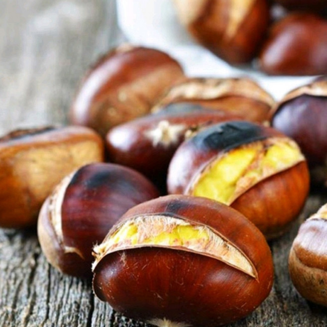 (무료배송) 조은먹거리 25년 햇 약단밤 칼집생밤 단밤 군밤용, 1개