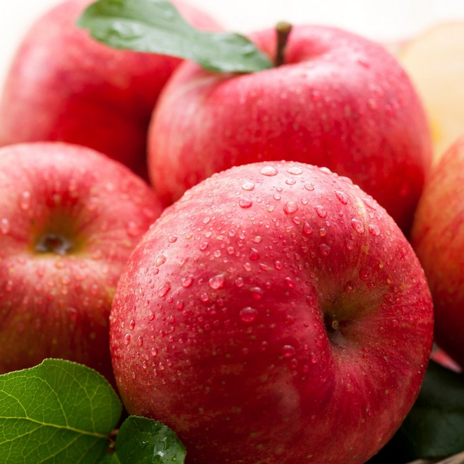 [하루농장] 재구매율1위 부사 사과 고당도, 1박스, 5KG(중과)