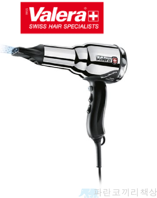 발레라 드라이기 스위스 메탈 마스터 라이트