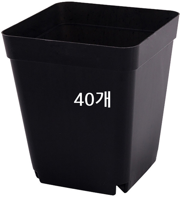 파파가든 컬러포트 다육이화분 사각 슬릿분, 40개, 컬러포트(검정색)
