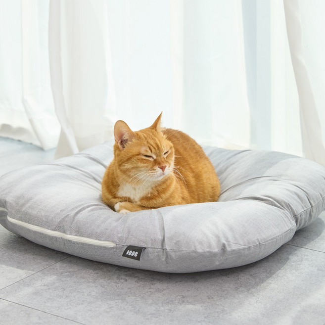 3651 멜티쿠션 고양이 방석, 1개, 그레이