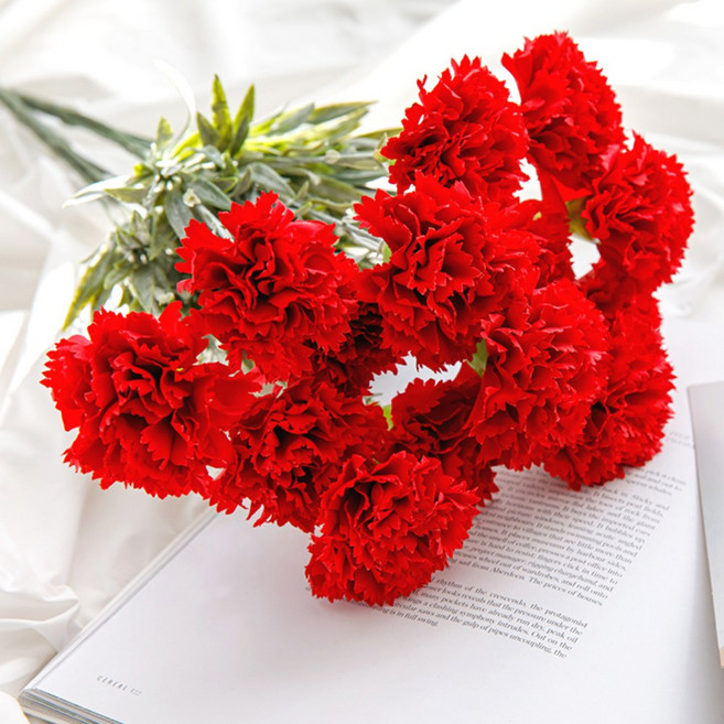 행복한마을 차밍카네이션 2다발묶음, 레드