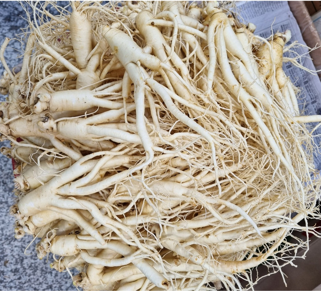 실속형 6년근 A급 풍기인삼도매 1kg750g500g 난인삼무료세척산지직송 현대만석인삼사, 1kg, 1세트