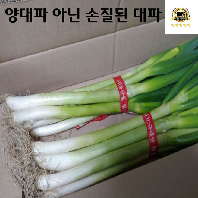 4위 - 국내산 손질 대파 1단 (2k 내외) (양대파 아님), 2kg, 1개