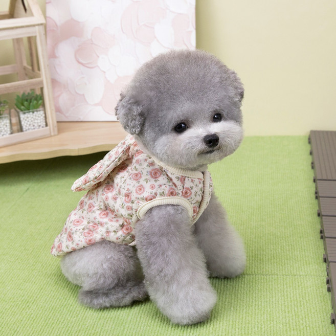 멍케어 강아지 플라워 리본 하네스 조끼 퀼팅 방한 애견옷, 베이지