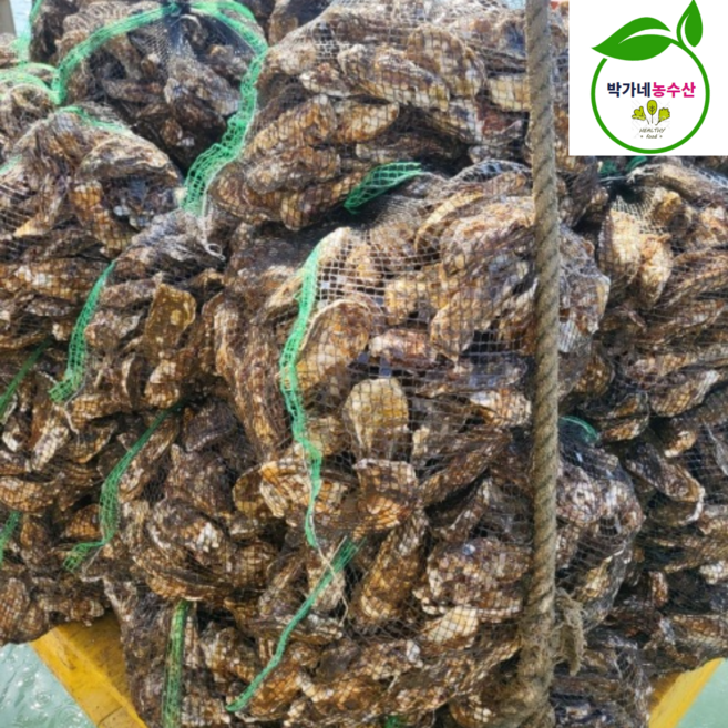 통영 제철 굴 석화 산지직송 5kg 10kg 생굴 깐굴, 1개, 남해안여수통영석화[5kg]