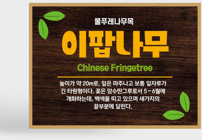 수목 표찰 이름표 나무 명패 팻말 간판 실외용 고급 사각 표지판 부착형, B타입 B-01, 1개