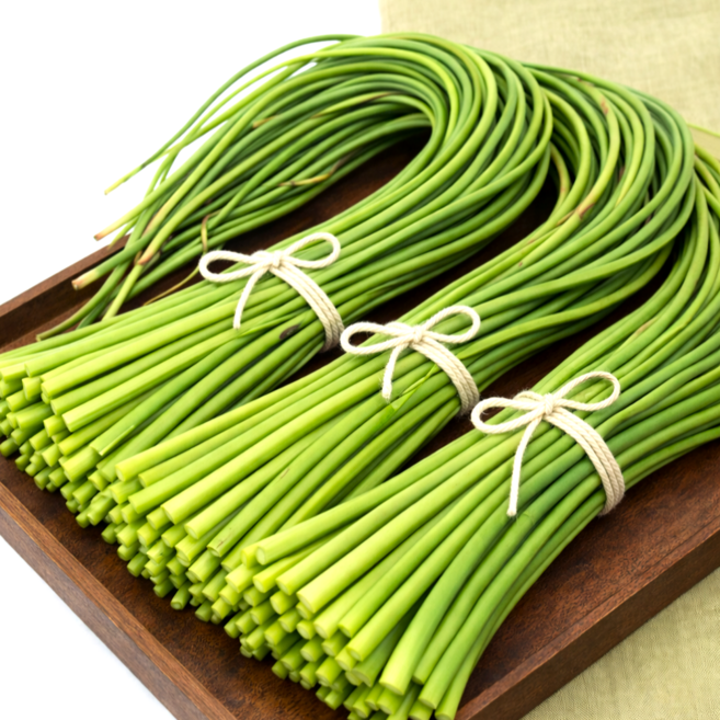 [제철수확] 부드럽고 아삭한 남해 해풍 마늘쫑 신선보장 마늘종, 1박스, 1kg(상품)