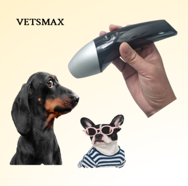 한달 렌탈 대여 강아지 고양이 레이저 치료기 디스크 쓸개골 탈구 관절염 피부염 수술치료 치주염 외이염 치료 및 관리, 1개, 500g