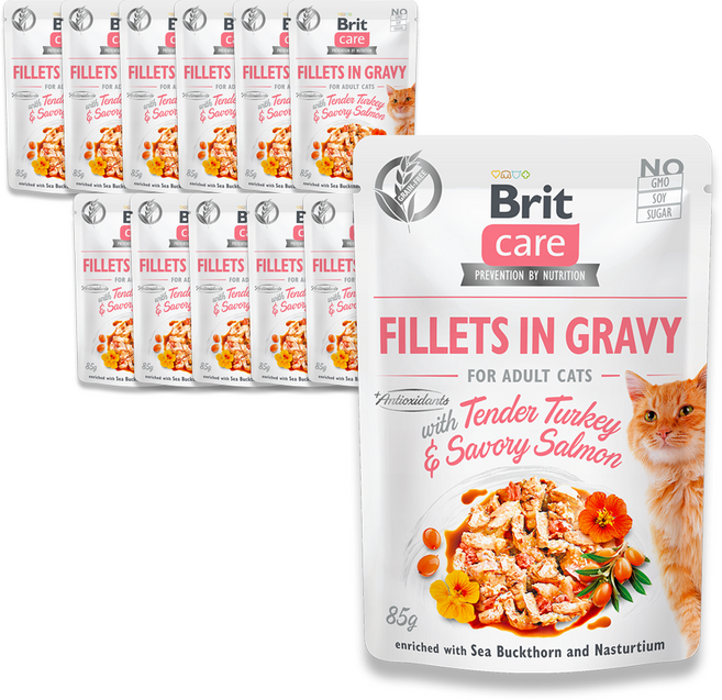 브릿 케어 캣 그레이비 파우치 고양이 주식 기능성 습식사료, 12개, 85g, 연어