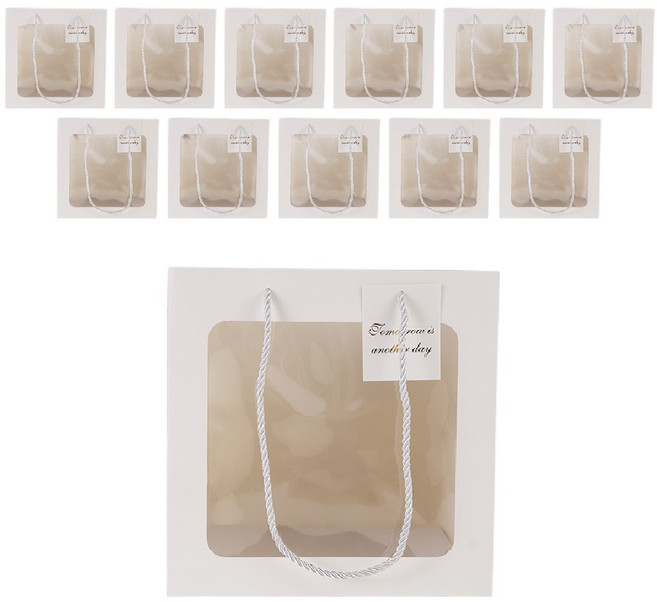 빛공 바닥넓은 정사각 투명창 윈도우 쇼핑백, 12개, 화이트