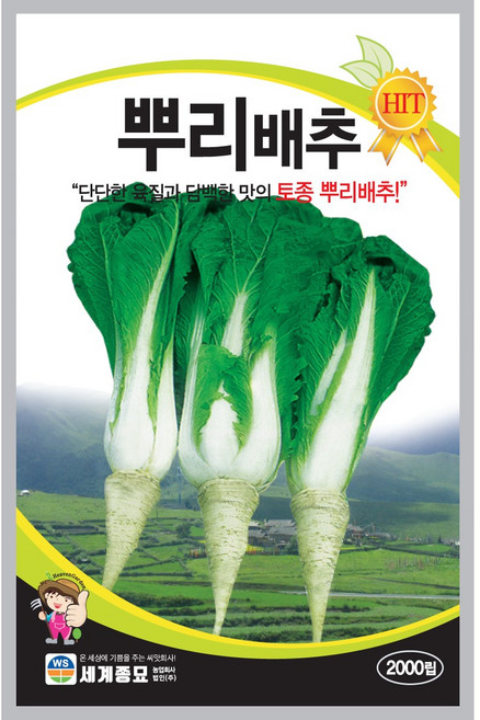 세계종묘 뿌리배추 씨앗 2000립, 1개