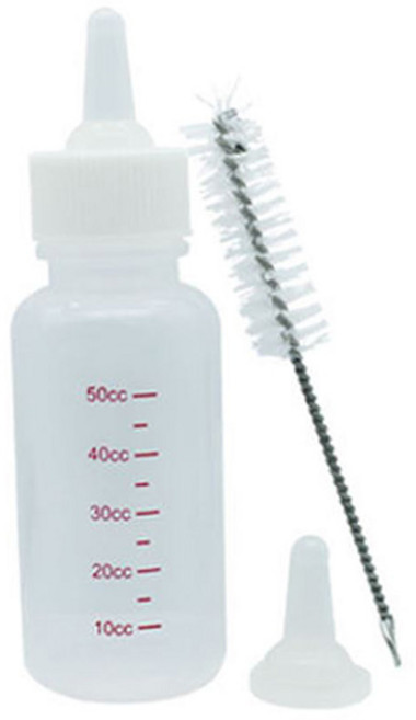 달빛마켓 애완젖병 세트 강아지 고양이 아기젖병, 1개, 단품