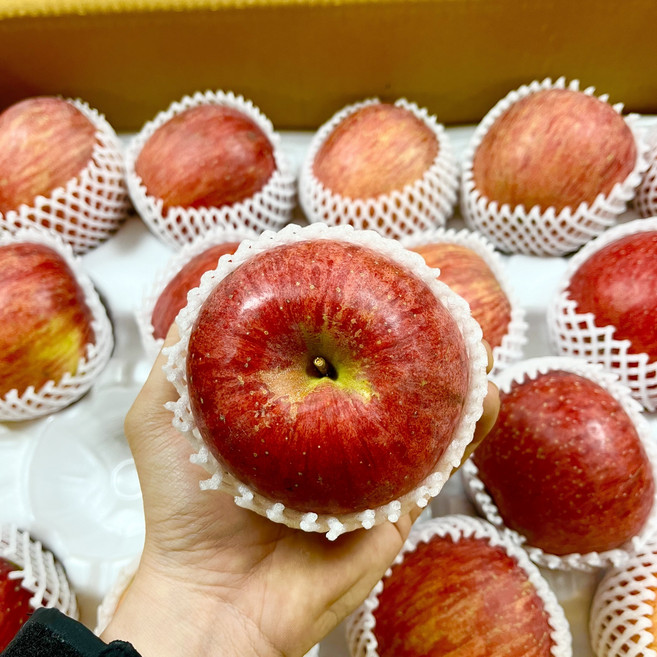 경북 청송사과 (홍로 부사 시나노 골드) 사과 5kg 10kg, 1, 주스용 크기혼합5kg