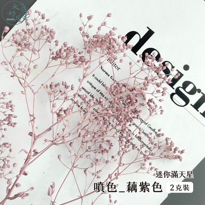 大好屋 迷你滿天星 永生花乾燥花材 DIY手作拍攝道具, 迷你滿天星, 藕紫