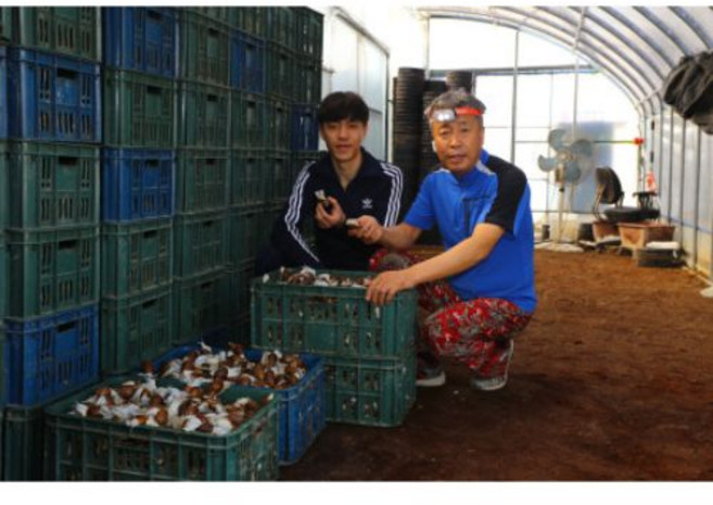 달팽이 아버지 이천형 화성 달팽이 엑기스, 옵션3. 실속형 60포x1박스, 1개