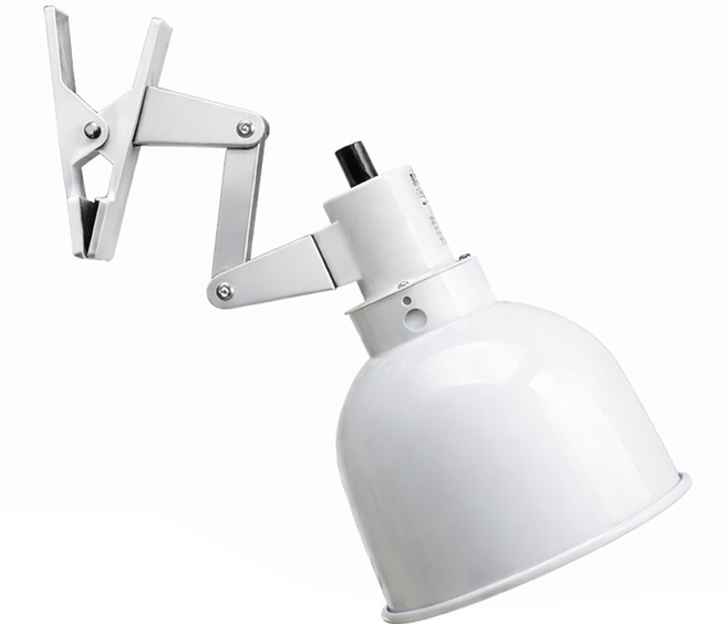 그랑블루 돔형 관절 소켓 거북이 파충류 일광욕 전용, 1개, 화이트