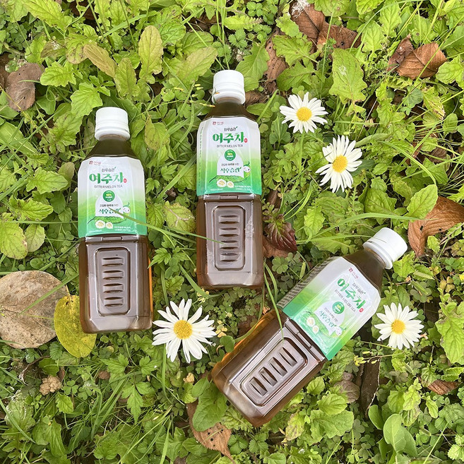 국산 고농축 여주차, 20개, 500ml