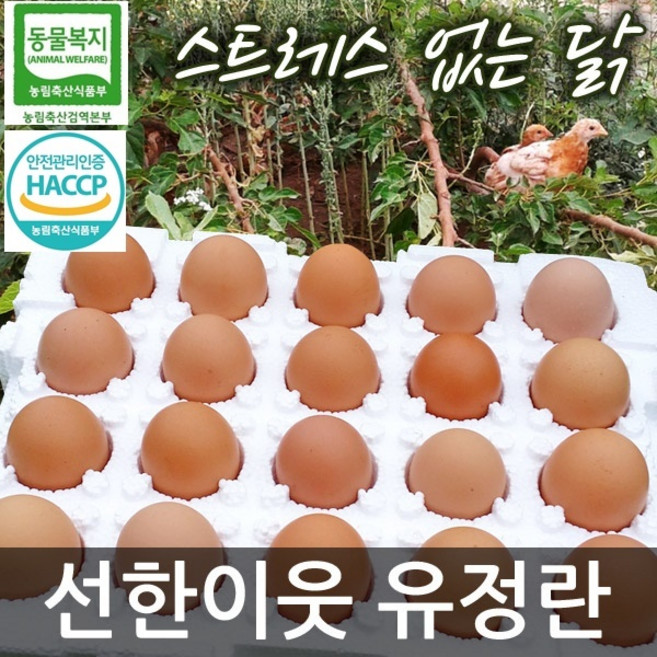 선한이웃 동물복지 유정란 40구/60구/80구 택일 친환경 무항생제 HACCP 안전관리인증 축산물 난각번호#2, 2개, 20구