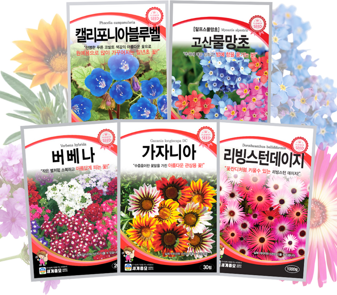 키작은 꽃씨 5종세트 물망초 버베나 가자니아 리빙스턴데이지 캘리포니아블루벨 꽃씨앗 봄꽃 여름꽃 가을꽃 파종 주주씨앗, 1개