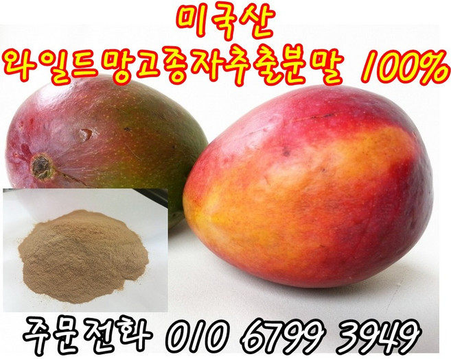 명품 와일드망고추출분말가루 파는곳 와일드망고 씨앗분말 와일드망고다이어트, 500g, 1개